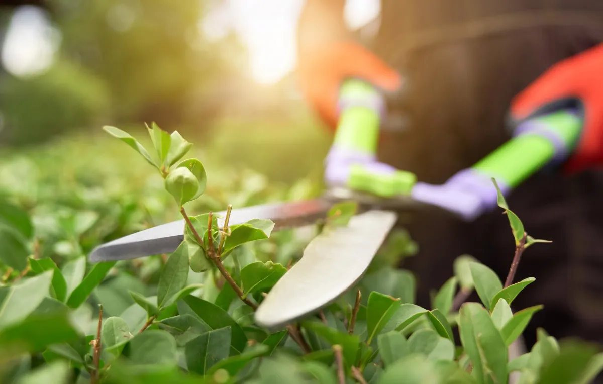Jardineros trabajando en un jardín en Avilés, Asturias
